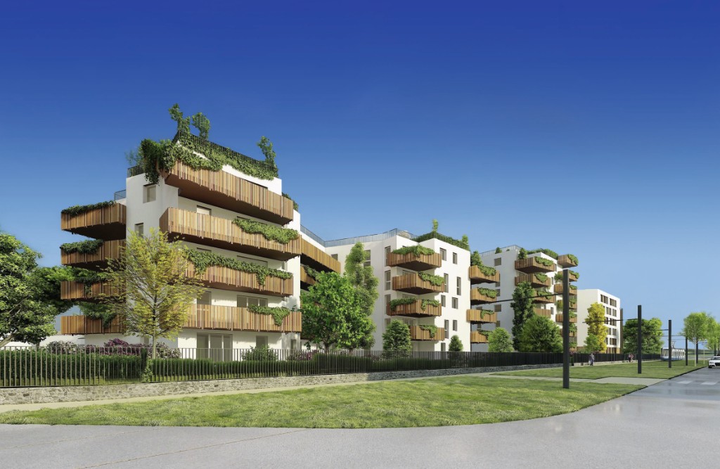 Visuel programme TOSHI, Montpellier